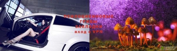 МДМА Дмитровск