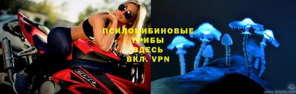 гашишное масло Дмитриев