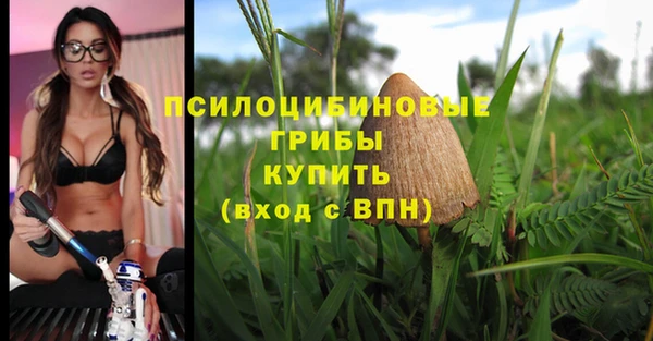 гашишное масло Дмитриев
