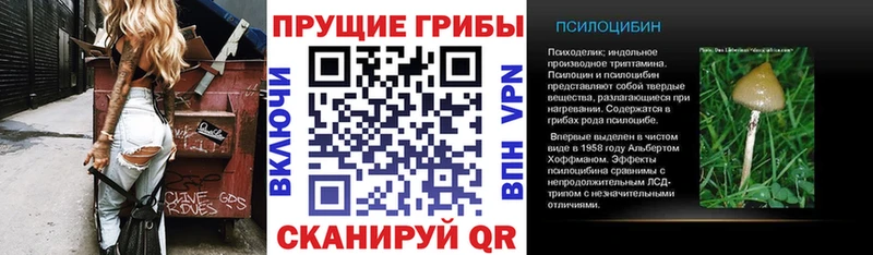 Галлюциногенные грибы ЛСД  Купить  Старый Оскол 